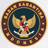 suara asli