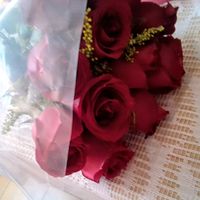 rosi.esteven
