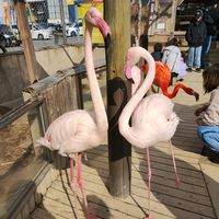 オリジナル楽曲 - クリック