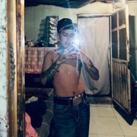 franciscobotello4
