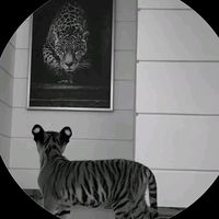 fars_373