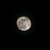_gray.moon_