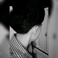 orlando_zd