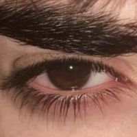 imamelibedelov461gmail.8