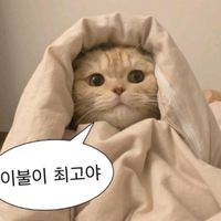 오리지널 사운드 - 이베이드 즈