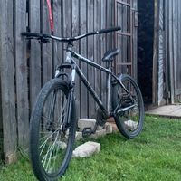sabal2583