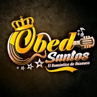Obed Santos Artista