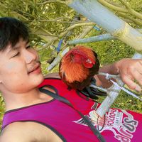 เสียงต้นฉบับ - sorrysorry8326