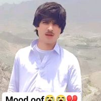 aminjani031