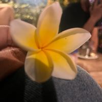 suara asli - anggifaris1221