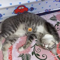 เสียงต้นฉบับ - F I L M 🧑🏻‍🦱🖤