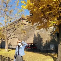 original sound - rose_asyx