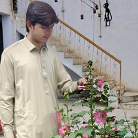 talhaakbari82
