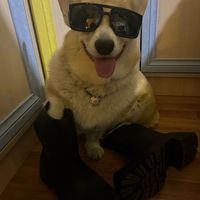 bpee.fits