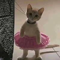 suara asli - bbygirl🎀