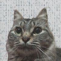 suara asli - normal-catlol