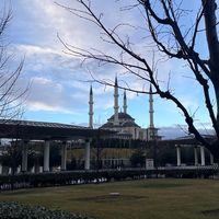 abdulmazhid_t