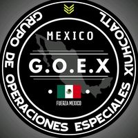 goex.oficial