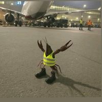 original sound - Mg Bhone.