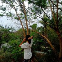 original sound - Lynnnx_