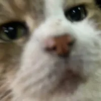 original sound - b.m_a.kxd