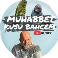 muhabbetkusubahcem