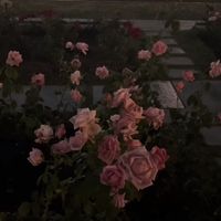 オリジナル楽曲 - ♡