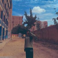 sagda.mohamed7729