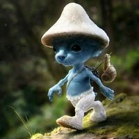 sailushayy