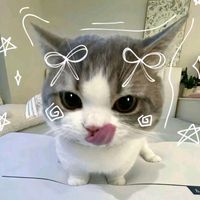original sound - 𐙚