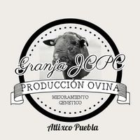 josealbertoperezm41