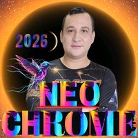 polimericosddc