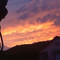 pretty_tt52