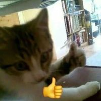 เสียงต้นฉบับ - ไอไหรหลาว