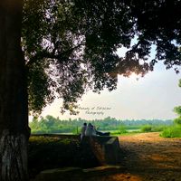 beauty_of_jokalian