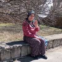 papatya_078s
