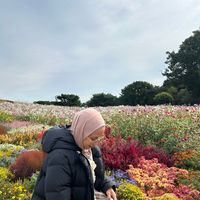 suara asli - 🌸