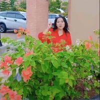 umyvivi708