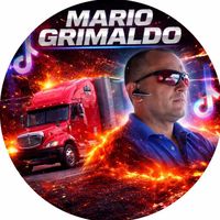 mariogrimaldo14777