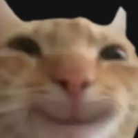 pipapiputoiday