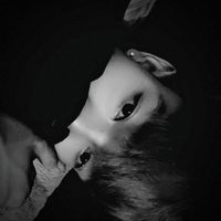 _sd.knyz.0.2