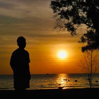 original sound - Dalin phai