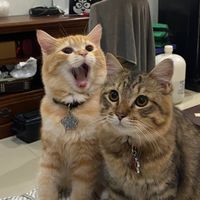 เสียงต้นฉบับ - อย่าทําหรอยน้องบ่าว