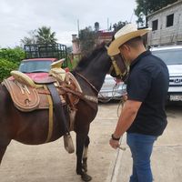 sonido original