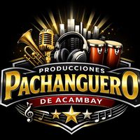 sonido.pachanguer3