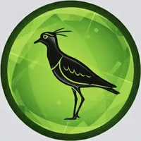 original sound - elyerba.tero