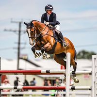 charlotte.equestrain