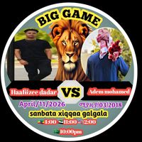 haafiizeedadar