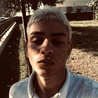 wszinnpdl