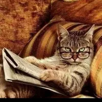 original sound - quenne0235